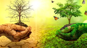 tree in two hands with very different 870x600 1