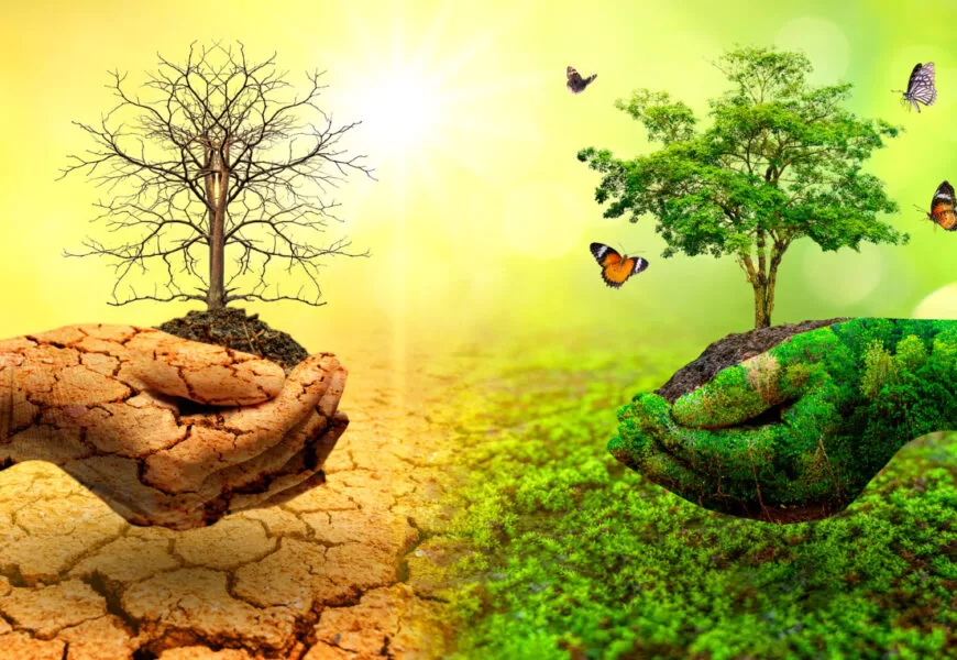 Día contra Cambio Climático: resaltan la urgencia de una transición energética equitativa 10 tree in two hands with very different 870x600 1 jpg