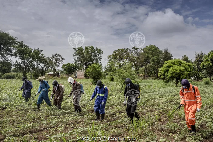 El Precio No Contado: FAO advierte sobre los costos ocultos de la alimentación 10 00163138 jpg
