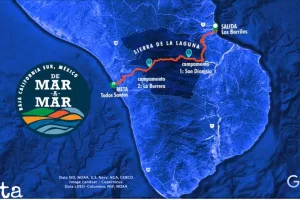 178b27 06adf4a8fa994fa287208eda7711968dmv2