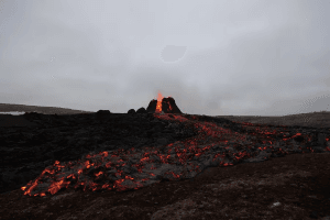 178b27 955a837fac824a2ba20ed466b619e5cfmv2