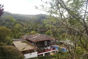 355876388 672113038266820 3389107955333705254 n