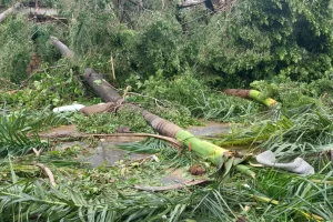 396834818 1965164473855470 3615865035925143371 n