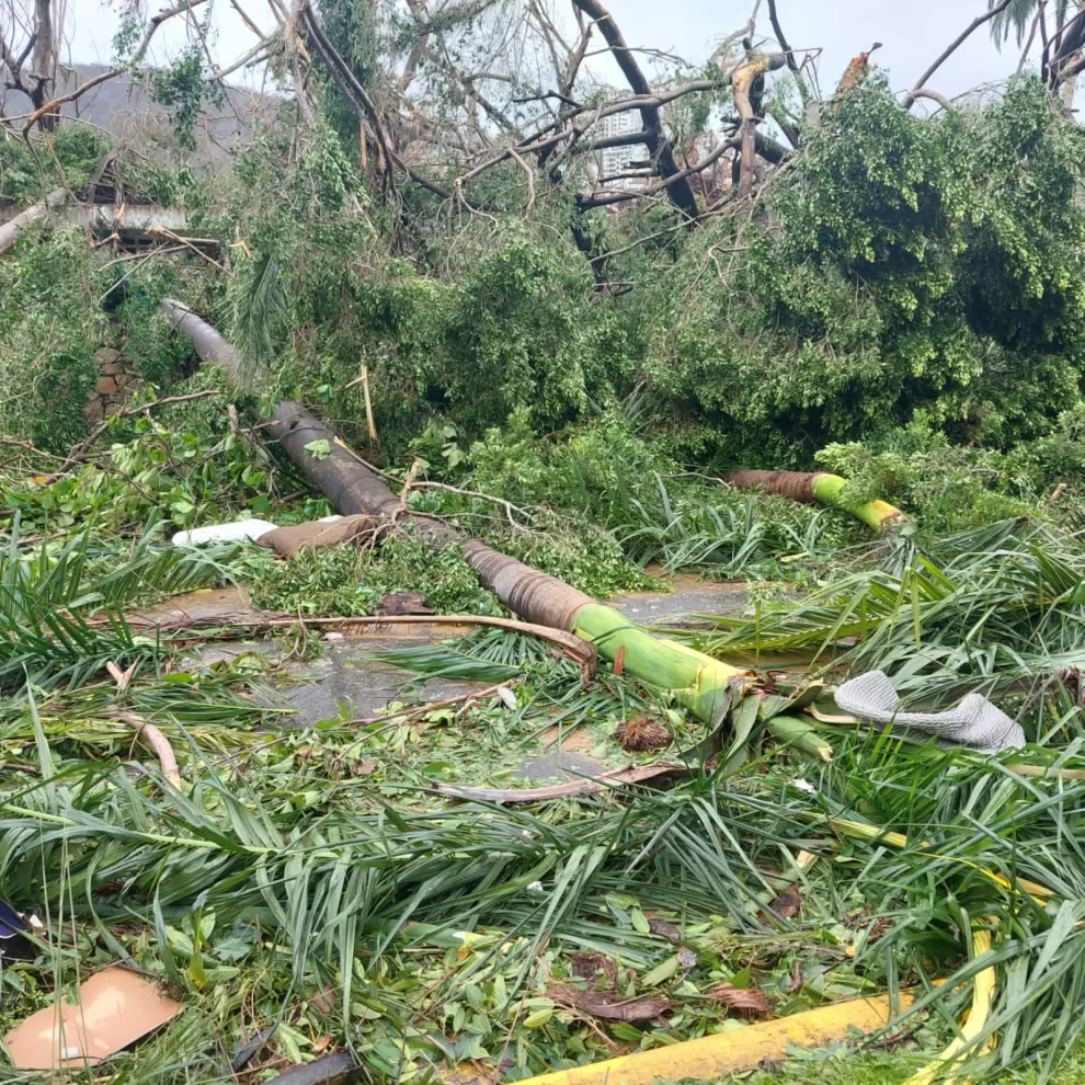 396834818 1965164473855470 3615865035925143371 n