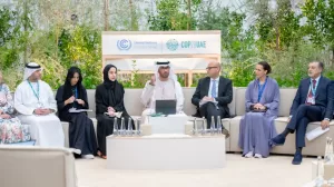 405237377 313801728274186 8204852024519105304 n