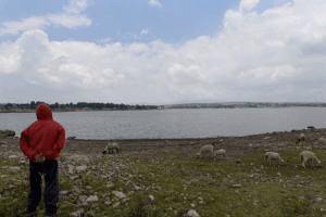 Captura de pantalla 2023 11 23 a las 7.34.21 a.m