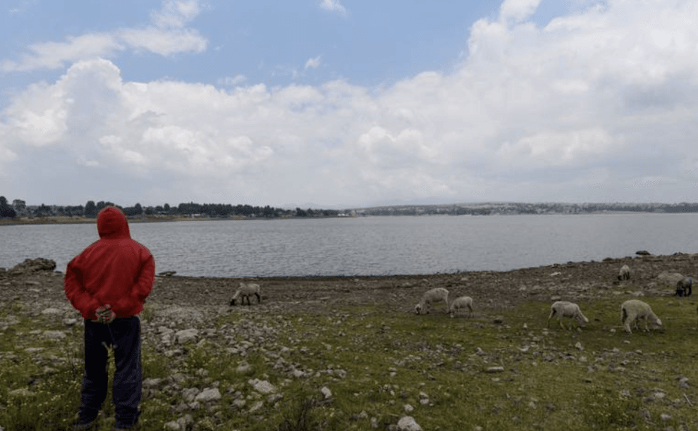 Captura de pantalla 2023 11 23 a las 7.34.21 a.m