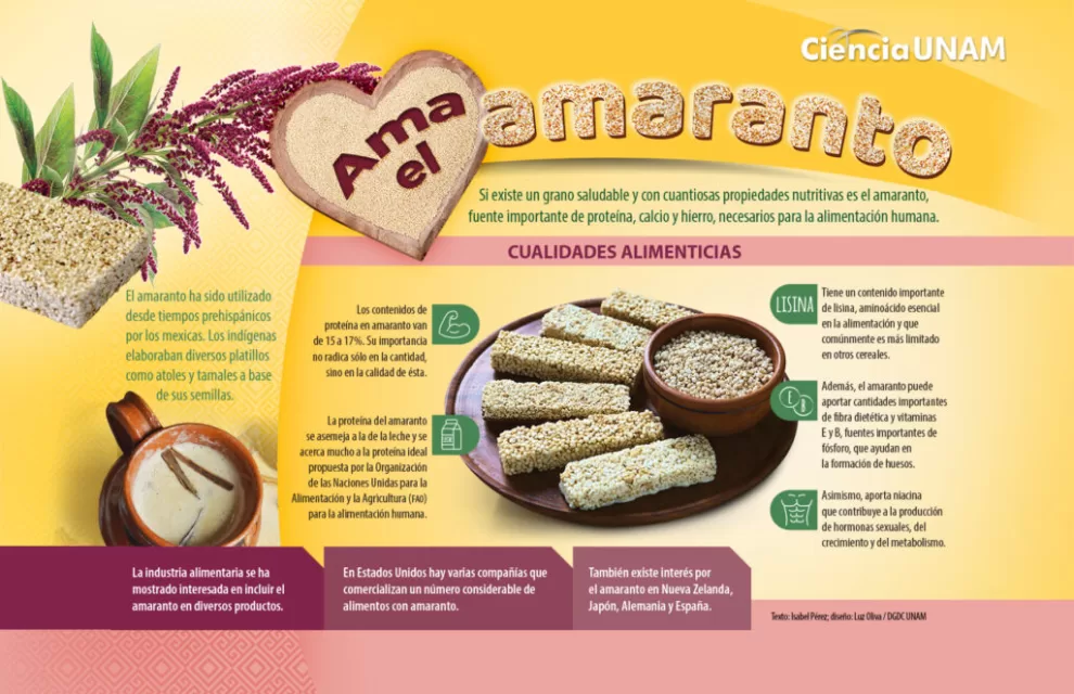 El amaranto: Un tesoro Nutricional del pasado que ilumina el futuro de la alimentación 10 amaranto 1024x662 1