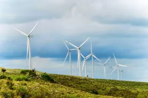 parque eolico