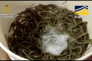 20220929 op askea lake seprona 001.jpg 991593706