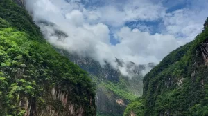 292156143 405838254907526 5853684001887115746 n