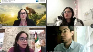 301123 Politicas Agricolas 2