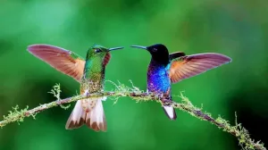 371756439 122116030370012131 5422853381632467144 n