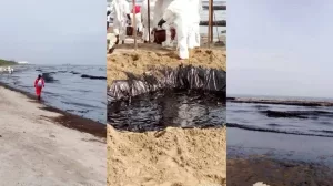 415251478 3522313961366038 4833428398877445736 n