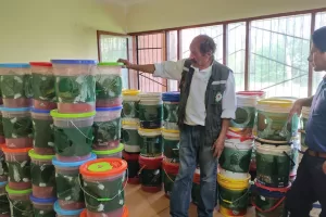 415277682 1057240088938884 3813955692242672117 n