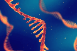 500bf3 10fb83a535ed4d468cc4faab2ff7c8a6mv2