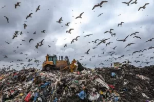 63066a3fe283947e061cc59f122566957cdbf8ec 696x464 1 630x378 2