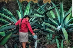 279250549 5074353009351423 4050072021710566607 n