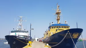 29983027 1709989819039971 7963200716664412923 o