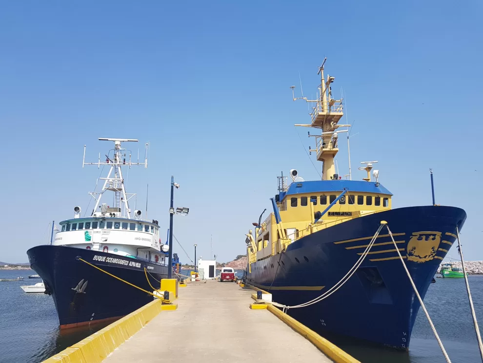 29983027 1709989819039971 7963200716664412923 o