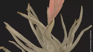 364655000 677091124463091 2416274243994228657 n