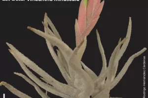 364655000 677091124463091 2416274243994228657 n