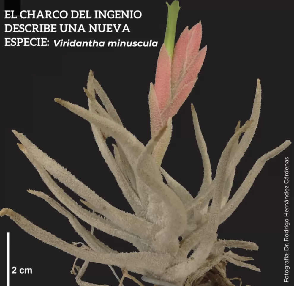 364655000 677091124463091 2416274243994228657 n