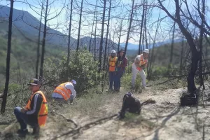 391668409 10163288212254972 1560923908077812258 n