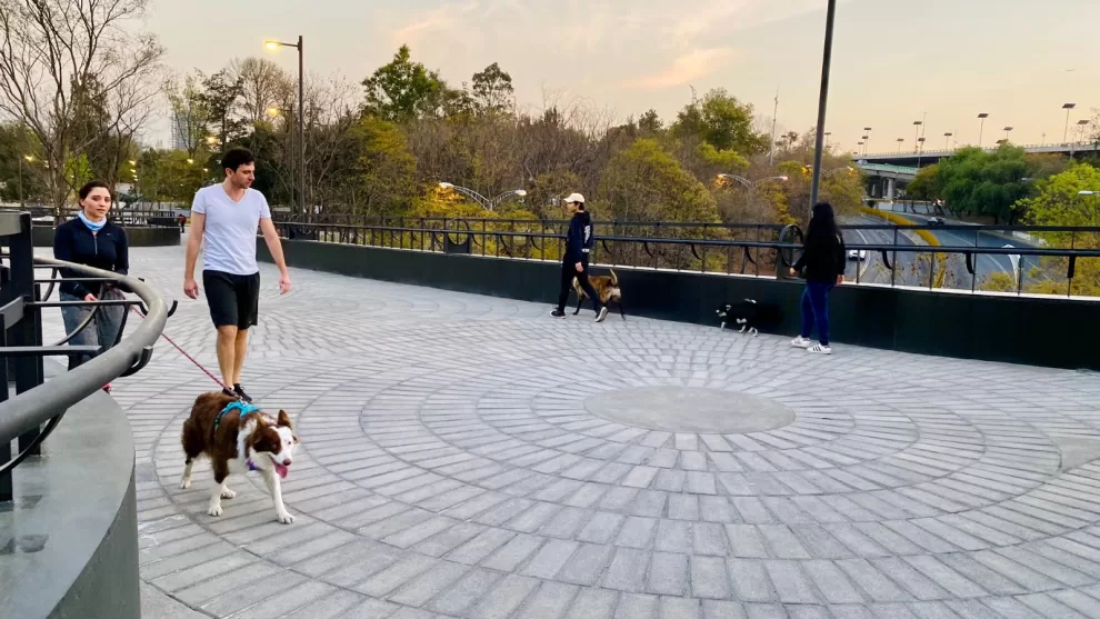 420871389 769043655257473 2435311386315388197 n