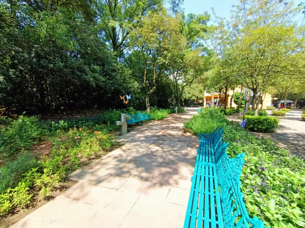 420931924 769064408588731 3354997162636257538 n