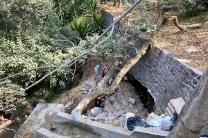 61d5bec169048005519665