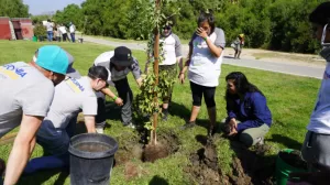 Cali 53213388486 4e6f15ce70 o v 696x464 1