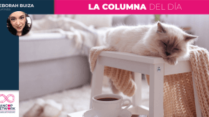 DB VIVIR COMO LOS GATOS