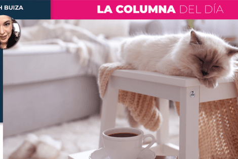 DB VIVIR COMO LOS GATOS