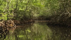 beautiful landscape 8327 182