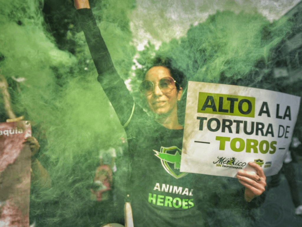 Protestas antitaurinas en la reapertura de la Plaza México 11 image 45