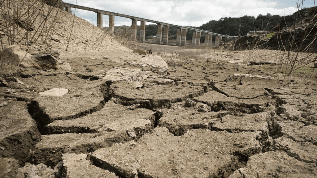 Sicilia (Italia) bate récord de temperatura en Europa con 48,8 grados, confirma la OMM 12 image 47