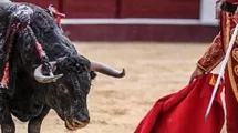 toroCORRIDA