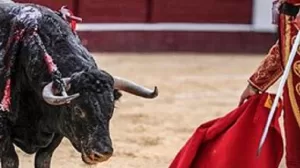 toroCORRIDA