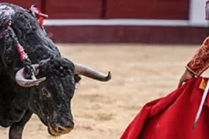 toroCORRIDA