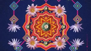 421474497 707221251592904 6050475592887866676 n