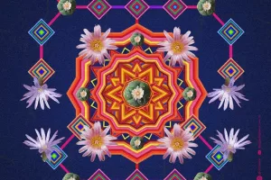 421474497 707221251592904 6050475592887866676 n