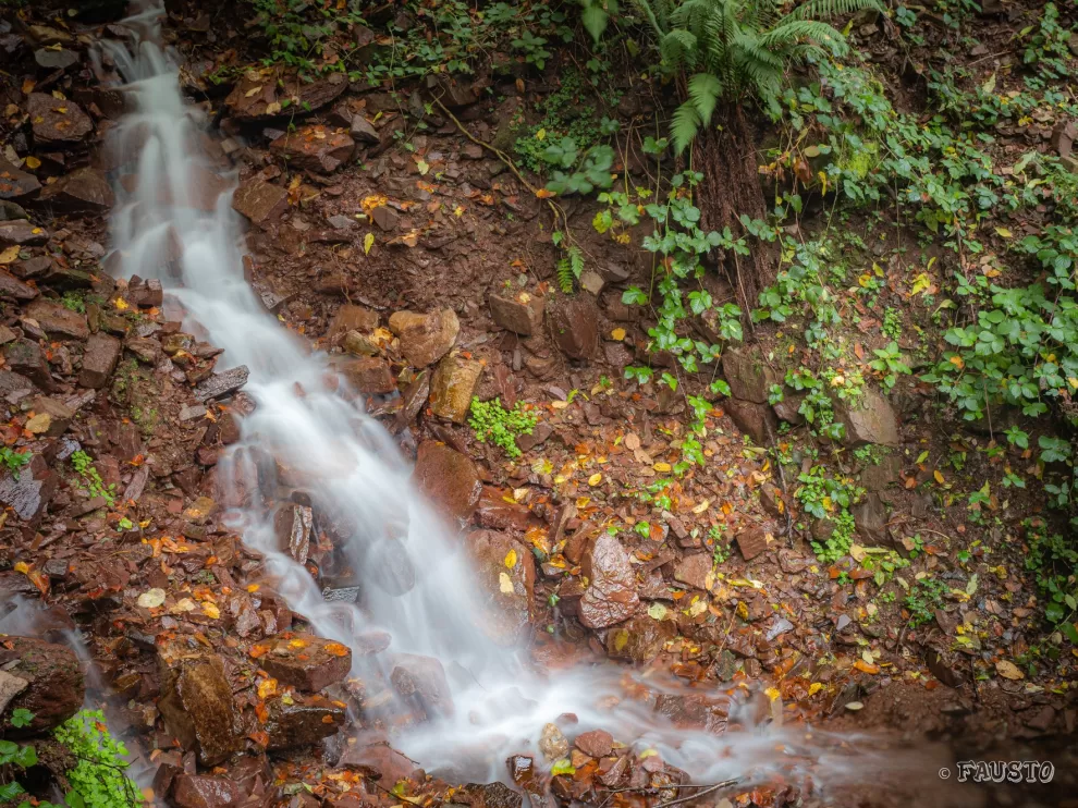 74211336 1389610724520911 7971536378859094016 n