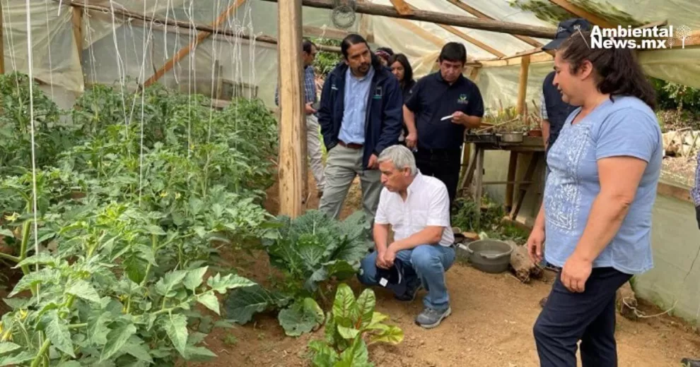 Impulsa Chile "Faros Agroecológicos" 10 ANWEB