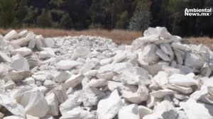 Diatomita: El Tesoro Natural y Versátil