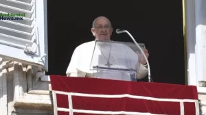 ANWEB El Papa Francisco llama a decisiones valientes por el medio ambiente en medio de preocupaciones globales