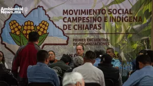 ANWEB Encuentro de organizaciones campesinas e indigenas de Chiapas aborda inseguridad y cambio climatico