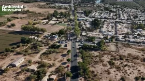 ANWEB Gobierno Municipal de Ciudad Obregon salvaguarda flora 1