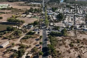 ANWEB Gobierno Municipal de Ciudad Obregon salvaguarda flora 1