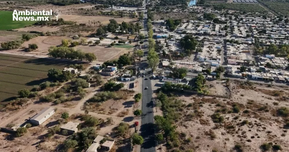 Gobierno Municipal de Ciudad Obregón salvaguarda flora 10 ANWEB Gobierno Municipal de Ciudad Obregon salvaguarda flora 1